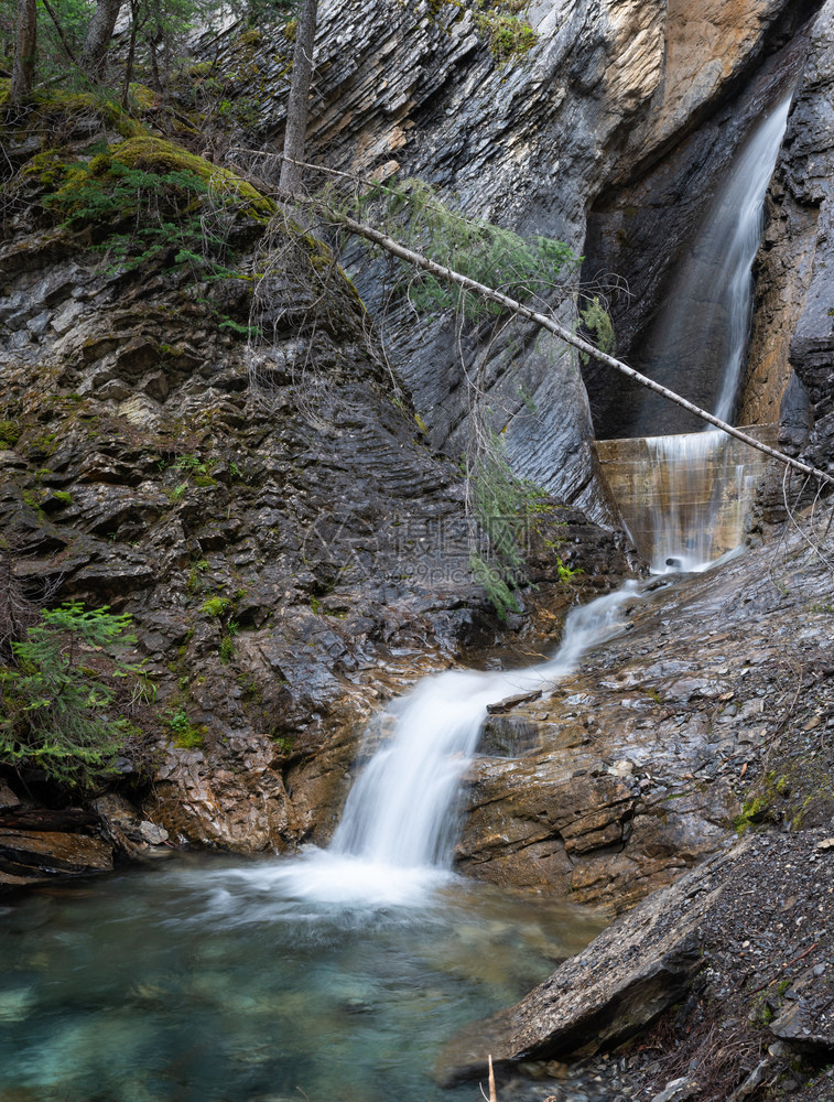 在加拿大不列颠哥伦比亚省Yoho公园内一个水瀑的长图象森林英国自然图片