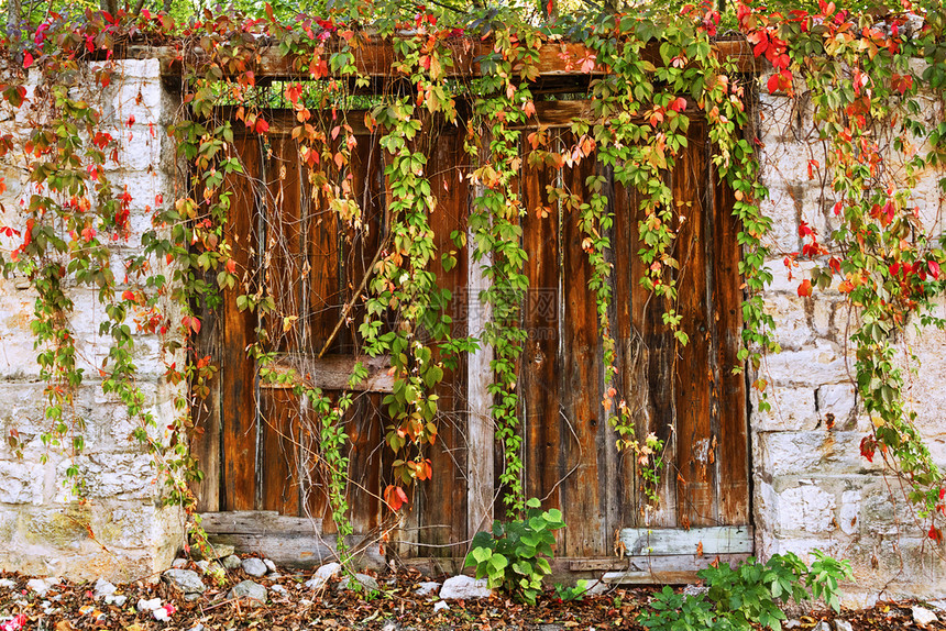 门口覆盖废弃房屋入口的已消退常春藤红色外部图片