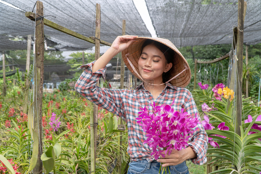 关心温室工人园丁安排兰花顶着帽子在兰花园里拿着图片