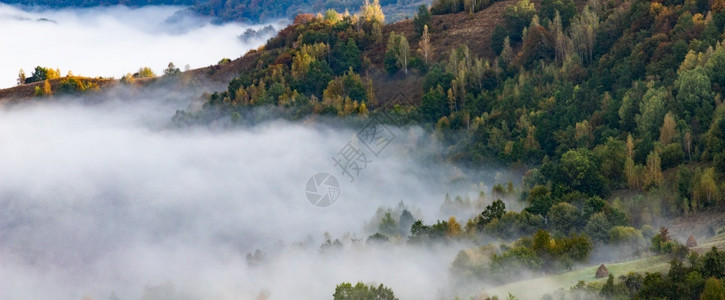 全景旅行罗马尼亚农村阿普塞山脉美丽的雾明日风景树木图片