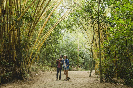 丛林冒险人行道竹的几条路径图片