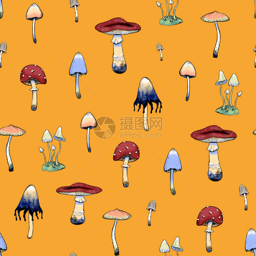 打印不同种类的有毒蘑菇颜色取材于橙背景植物壁纸装饰数字图画贵重风格像样的季节毒菌图片