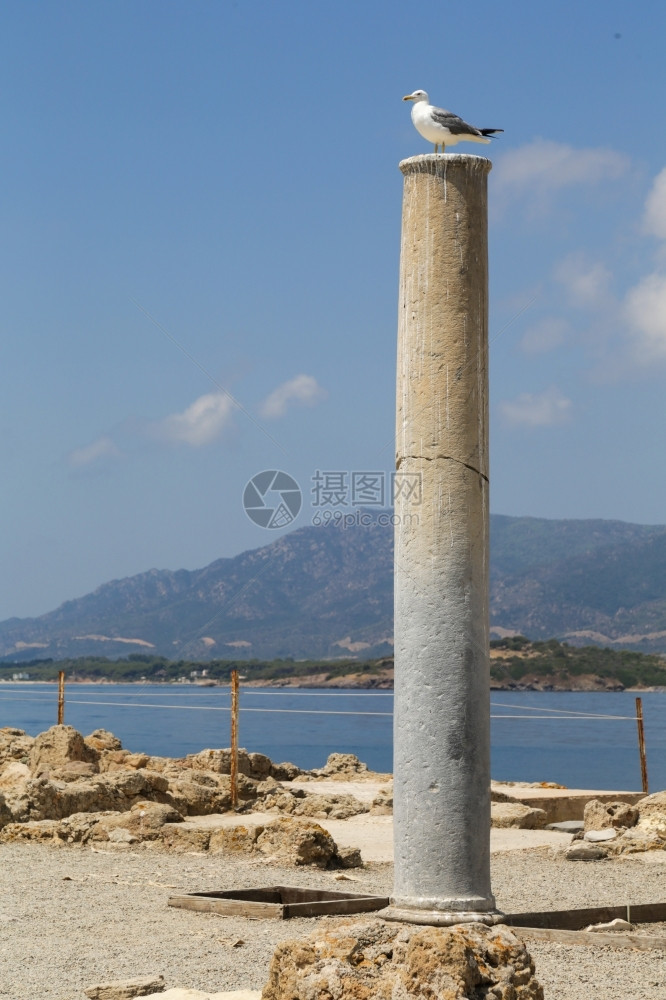 灯塔建筑学萨丁尼亚Pula附近诺拉古罗马的废墟海岸线图片