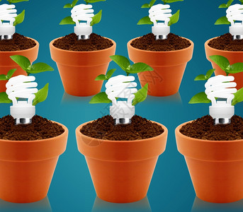 再生现代绿色能源概念菜园用小植物装有灯泡的花园锅广告经济图片
