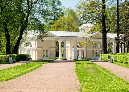 巴甫洛夫斯基树2019年5月4日帕夫洛斯基公园朝圣馆旅游花背景