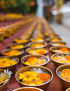 宋干节湿的佛教在寺庙内献花或用碗和横排的佛教宗提供鲜花或礼物传统的背景图片