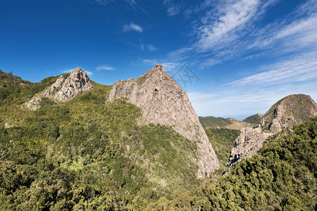 跋涉户外西班牙加那利群岛拉戈梅的森林和山景观象地质学图片