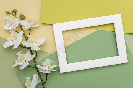 大潮颜色白的几何绿阴影纸背景上的兰花白框和分支复制空间为您设计春季或夏概念的样机几何绿色阴影纸背景上的兰花白框和分支复制空间为您设计背景