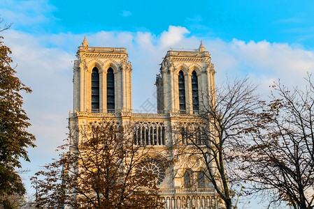 巴黎圣母院大教堂法国秋天美妙的哥特式建筑正面视图历史巴黎人法语背景图片