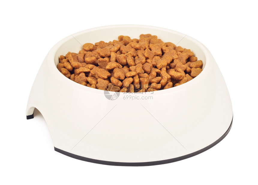 吃陶瓷制品碗中的干猫食品白碗中的干猫食品孤立在白色背景上食物图片