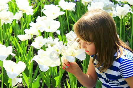 绿色小女孩闻到花床姑娘的郁金香味儿花床小女闻到白郁金香味儿锅植物群图片