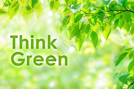 树自然春青绿叶在深阳光下有着美丽的布基效应和文字认为绿色句子图片