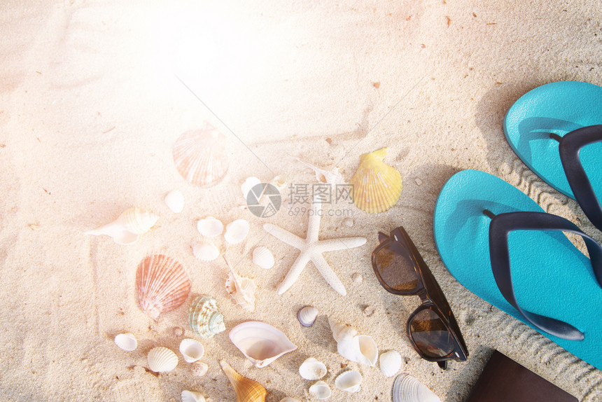 沙滩上的贝壳与人字拖图片