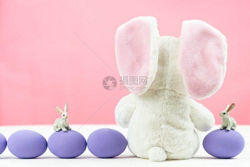 动物紫色优质的复活节日小兔子和装饰鸡蛋图片
