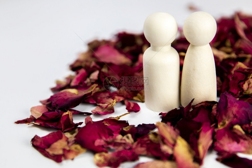 吸引人的白色真爱情人侣概念两个白色背景上带有红玫瑰花瓣的木制人物站在一起孤立白色背景上复制文本空间真爱站在一起孤立白色背景复制空图片