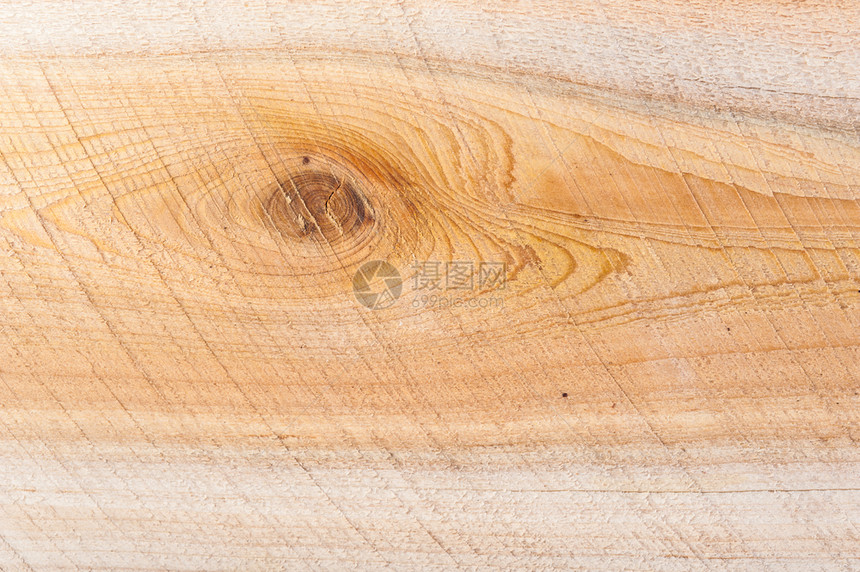 登上乡村的Juniper木质纸背景具有古自然型状的龙盖地表土生木背景用于模板网站海报或概念设计Juniper木质纸背景具有古自然图片