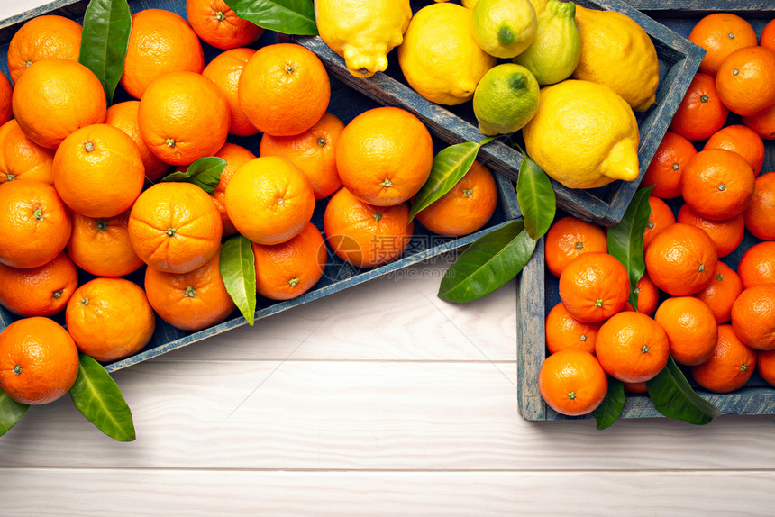 团体木制背景的新鲜柑橘果可复制文本橙子水果柠檬橘子麻甘油石灰疗养食品维生素C青柠品种图片