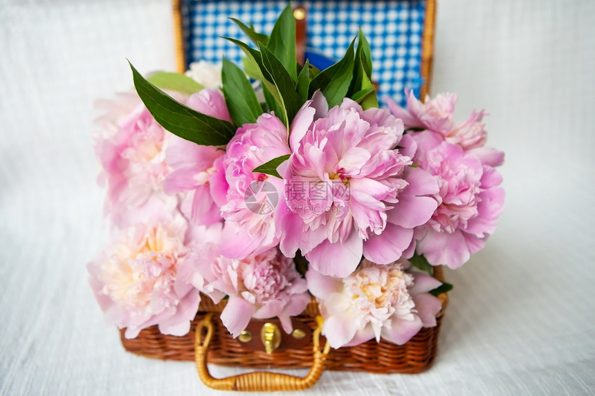 优质的浪漫闪发光粉红色花束美丽在古代真正的棕色手提箱中近身特写粉红色花束的美丽在一个古老的正面棕色手提箱中图片