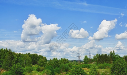 垂直的户外森林和蓝天空的农村夏季风景环境图片