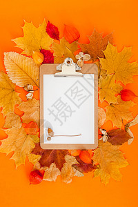 秋叶中的空白文件夹图片