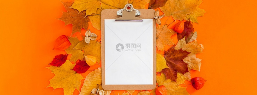 多色秋叶中的空白文件夹图片