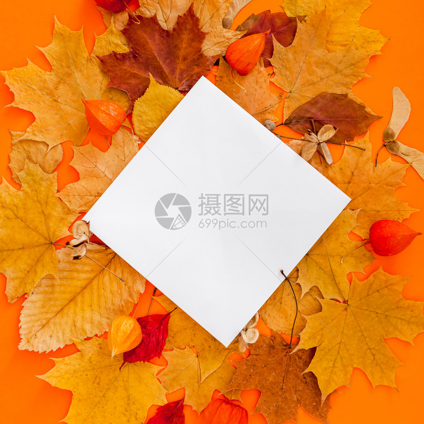 橘色背景秋叶中的空白纸张图片