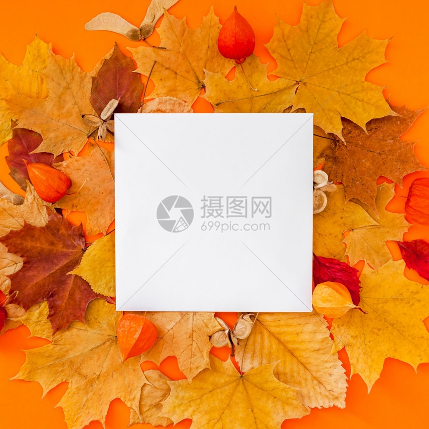 多色秋叶中的空白纸张图片