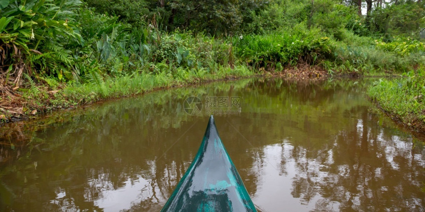 独木舟乘船穿越丛林中部的河流乘船穿越丛林中部的河流季节风景优美图片