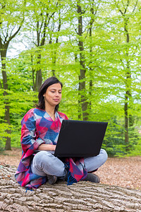 外部药片哥伦比亚妇女坐在森林的树上与笔记本电脑一起坐在操作图片