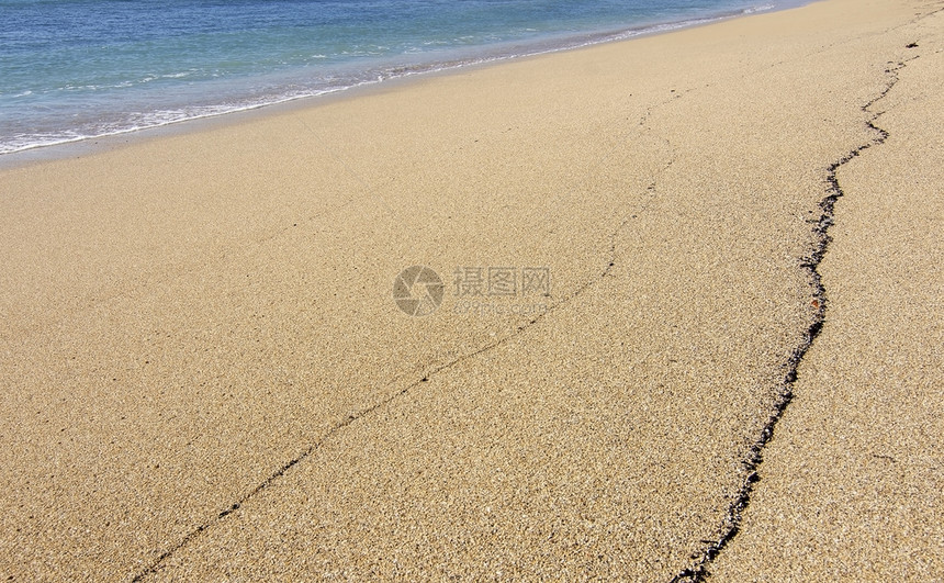 海边沙滩上的博文图片