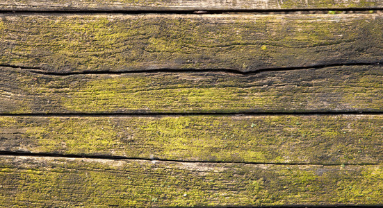 污渍自然桌子灰黄色蓝颜的旧MossDirdWooden背景部分图片
