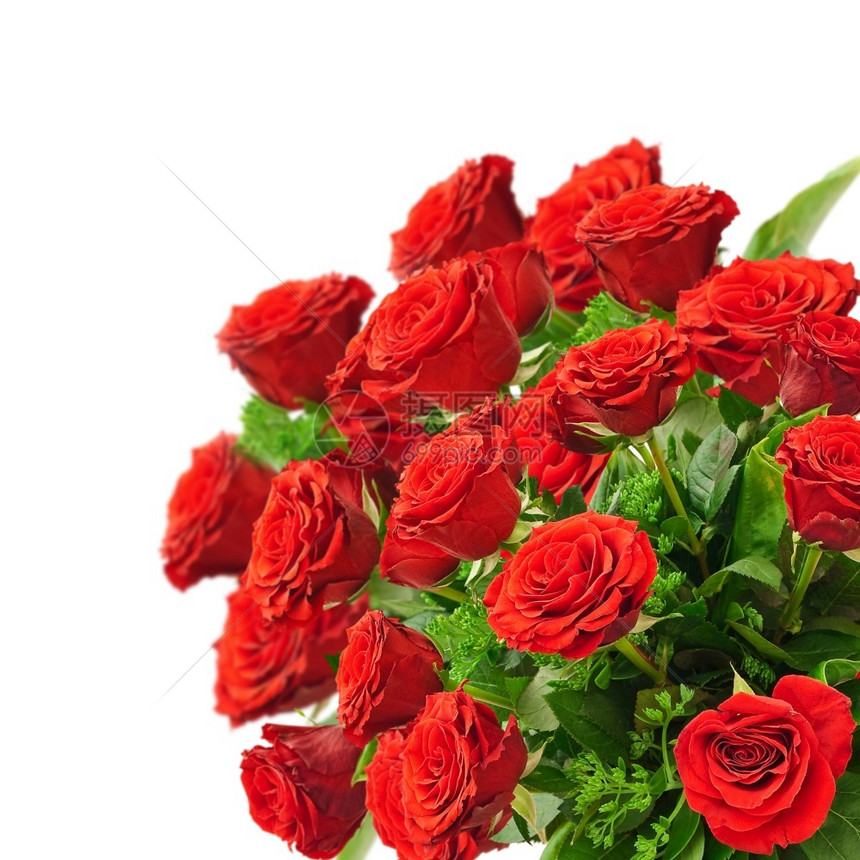 惊喜花店白色背景的红玫瑰花束庆祝图片