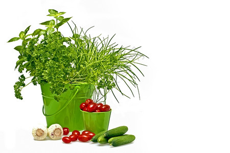 蔬菜绿篮中草药西红柿黄瓜和大蒜地中海调味品图片