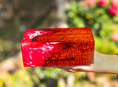 植树环氧脂稳定木头有老虎条纹红色抽象艺术背景墙真实的美丽图片