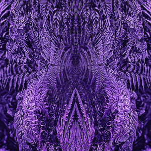 女为国际妇节3月8日制作的紫外超色花粉面镜像模式由FernGreeting卡绿色树枝为国际妇女节制作摘要创背景具有对称过滤效果和背景图片