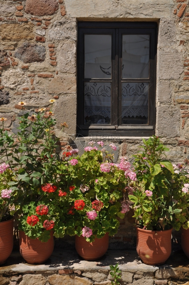 植物群充满活力美丽的希腊景色窗边有美丽的翡翠花如画图片