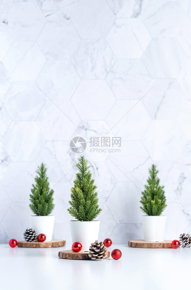 圣诞树盆栽图片