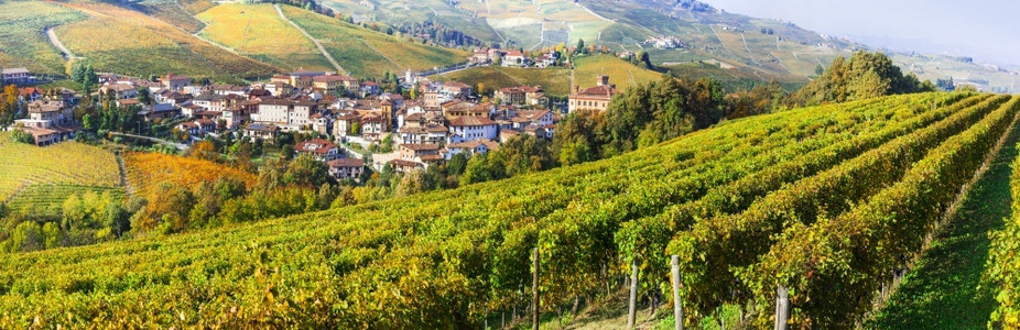 五彩缤纷全景在皮埃蒙特巴罗洛村和意大利城堡旁的秋幕风景葡萄园村庄图片