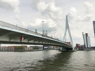 伊拉斯姆斯布鲁格受欢迎的暂停鹿特丹天空线与伊拉斯穆布鲁桥荷兰城市景观背景