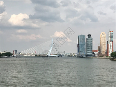 荷兰语全景鹿特丹天空线与伊拉斯穆布鲁桥荷兰伊拉斯谟高清图片