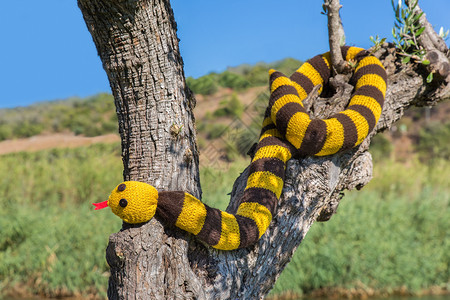 羊毛阳光明媚的日子假冒编织的蛇挂在树干里错误的针织图片
