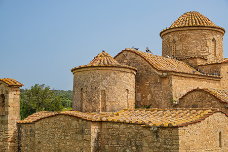 加纳帕蒂迪卡帕斯宗拜占庭修道院教堂最初在塞浦路斯岛莱赫朗戈米有卡纳马赛克鸽子从屋顶飞下该教堂原由塞浦路斯岛Lythrangomi的加纳卡背景