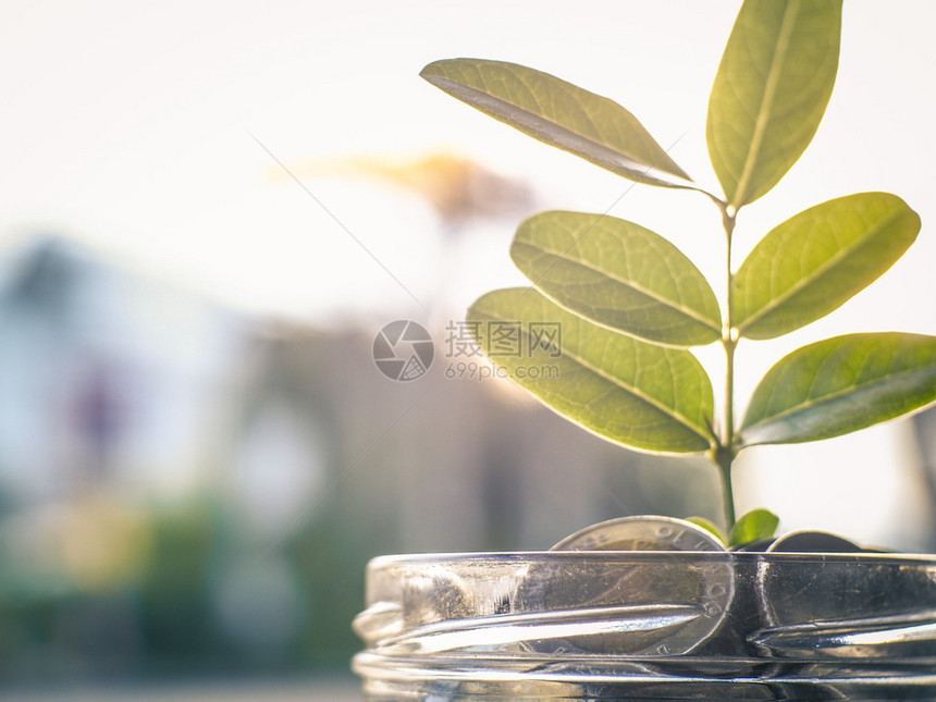 现金收益进步筹资和节省金概念与种植树的商业企合作图片