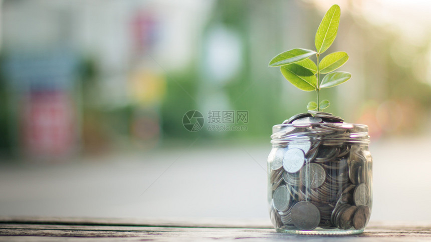 玻璃收入筹资和节省金概念与种植树的商业企合作种子图片