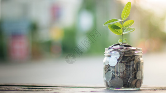 玻璃收入筹资和节省金概念与种植树的商业企合作种子图片