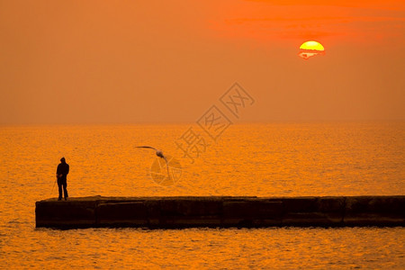 海岸边鸥渡过浪面上日落码头渔夫驾着鱼棍独行渔民码头上夫驾船假期水图片
