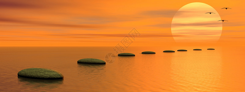 橙头鸟夏天灰色的石块在海洋上踏脚步在日落前飞向太阳和鸟儿结石头背景