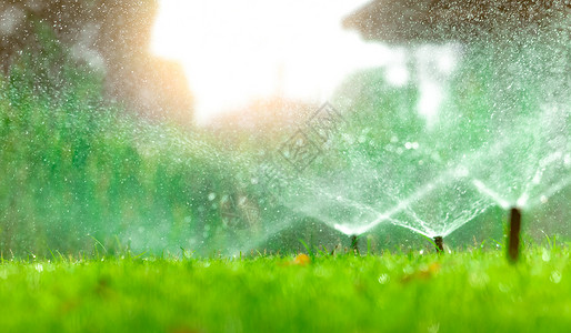 自动草坪喷洒灭水器用自动系统浇灌绿草撒布者用水并配有自动系统的园林灌溉为草开水节或使用可调适头垫的喷洒系统保护水源湿的春天院子背景图片