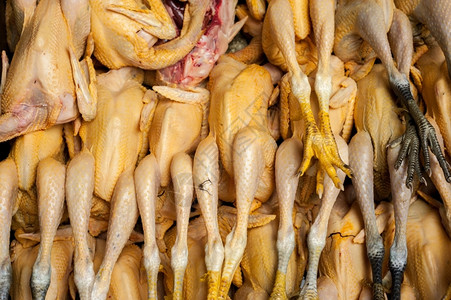 食物煮熟的生新鲜有机鸭供在亚洲食品市场销售鸡图片
