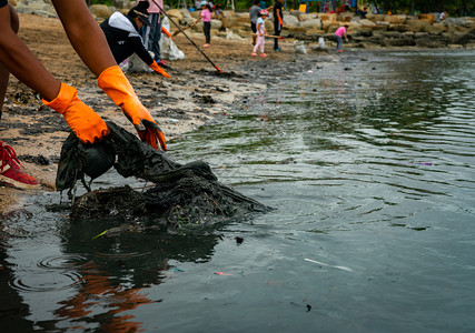 志愿者收集海边的有害垃圾图片
